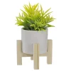 Cheap ⭐ Northlight 8" Potted Green Artificial Succulent with Wooden Stand 🥰 -Outlet Northlight Store Belk 1790