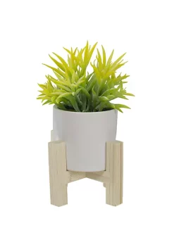 Cheap ⭐ Northlight 8" Potted Green Artificial Succulent with Wooden Stand 🥰 -Outlet Northlight Store Belk 1792