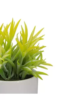 Cheap ⭐ Northlight 8" Potted Green Artificial Succulent with Wooden Stand 🥰 -Outlet Northlight Store Belk 1793