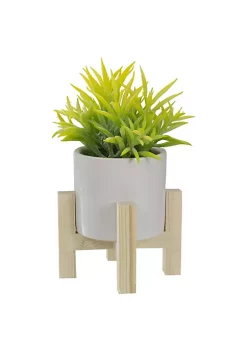 Cheap ⭐ Northlight 8" Potted Green Artificial Succulent with Wooden Stand 🥰 -Outlet Northlight Store Belk 1794