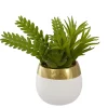 Top 10 ✨ Northlight 6.5" Potted Mixed Artificial Succulent Arrangement 😉 -Outlet Northlight Store Belk 1797