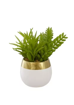 Top 10 ✨ Northlight 6.5" Potted Mixed Artificial Succulent Arrangement 😉 -Outlet Northlight Store Belk 1799