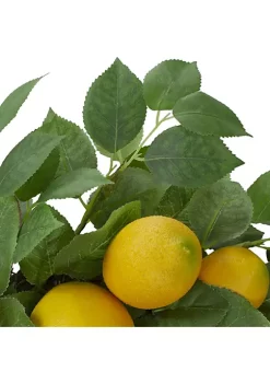 Cheap 💯 Northlight 34" Artificial Long Grass Plant in Twisted Rope Pot ✨ 11 Cheap 💯 Northlight 34" Artificial Long Grass Plant in Twisted Rope Pot ✨ -Outlet Northlight Store Belk 180