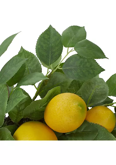 Cheap 💯 Northlight 34" Artificial Long Grass Plant in Twisted Rope Pot ✨ 7 Cheap 💯 Northlight 34" Artificial Long Grass Plant in Twisted Rope Pot ✨ - Image 5