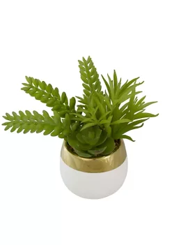 Top 10 ✨ Northlight 6.5" Potted Mixed Artificial Succulent Arrangement 😉 -Outlet Northlight Store Belk 1800