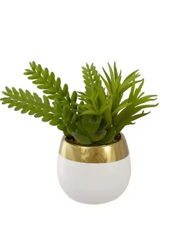 Top 10 ✨ Northlight 6.5" Potted Mixed Artificial Succulent Arrangement 😉 -Outlet Northlight Store Belk 1801