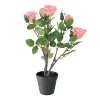 Buy 🤩 Northlight 19" Pink and Green Floral Ecuador Potted Artificial Rose Shrub 👏 -Outlet Northlight Store Belk 1808
