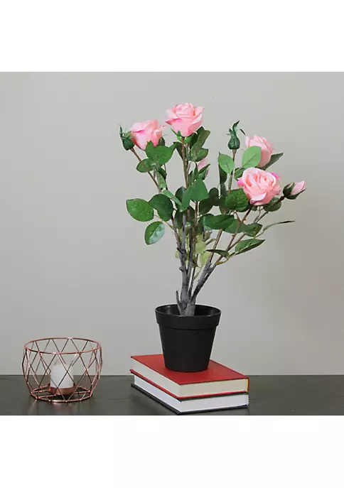 Buy ๐คฉ Northlight 19" Pink and Green Floral Ecuador Potted Artificial Rose Shrub ๐ 4 Buy ๐คฉ Northlight 19" Pink and Green Floral Ecuador Potted Artificial Rose Shrub ๐ - Image 2