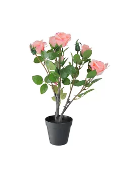 Buy ๐คฉ Northlight 19" Pink and Green Floral Ecuador Potted Artificial Rose Shrub ๐ 7 Buy ๐คฉ Northlight 19" Pink and Green Floral Ecuador Potted Artificial Rose Shrub ๐ -Outlet Northlight Store Belk 1810
