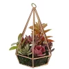 Buy 🌟 Northlight 9" Artificial Green and Purple Succulents Arrangement in 6-Sided Wire Frame 👍 -Outlet Northlight Store Belk 1831