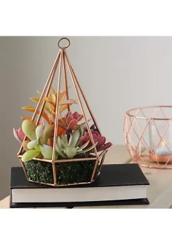 Buy 🌟 Northlight 9" Artificial Green and Purple Succulents Arrangement in 6-Sided Wire Frame 👍 8 Buy 🌟 Northlight 9" Artificial Green and Purple Succulents Arrangement in 6-Sided Wire Frame 👍 -Outlet Northlight Store Belk 1833