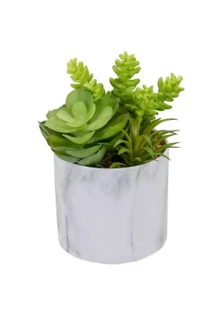 Budget ⭐ Northlight 6.5" Green Artificial Succulent Arrangement in Faux Marble Pot 👏