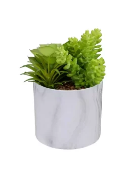 Budget ⭐ Northlight 6.5" Green Artificial Succulent Arrangement in Faux Marble Pot 👏 -Outlet Northlight Store Belk 1837