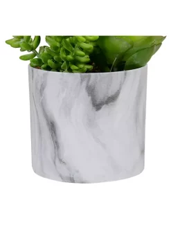 Budget ⭐ Northlight 6.5" Green Artificial Succulent Arrangement in Faux Marble Pot 👏 -Outlet Northlight Store Belk 1838