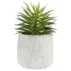 Wholesale ⭐ Northlight 5.5" Potted Artificial Succulent in Cement Pot 👍 -Outlet Northlight Store Belk 186