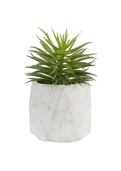 Wholesale ⭐ Northlight 5.5" Potted Artificial Succulent in Cement Pot 👍