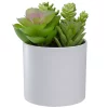 Top 10 😀 Northlight 5.5” Mixed Artificial Succulent Arrangement in a White Pot ✔️