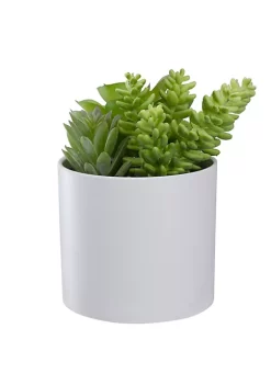 Top 10 😀 Northlight 5.5” Mixed Artificial Succulent Arrangement in a White Pot ✔️ -Outlet Northlight Store Belk 1866