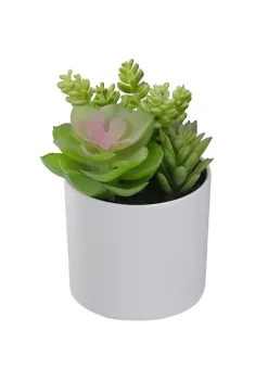 Top 10 😀 Northlight 5.5” Mixed Artificial Succulent Arrangement in a White Pot ✔️ -Outlet Northlight Store Belk 1867