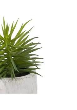Wholesale ⭐ Northlight 5.5" Potted Artificial Succulent in Cement Pot 👍 -Outlet Northlight Store Belk 189