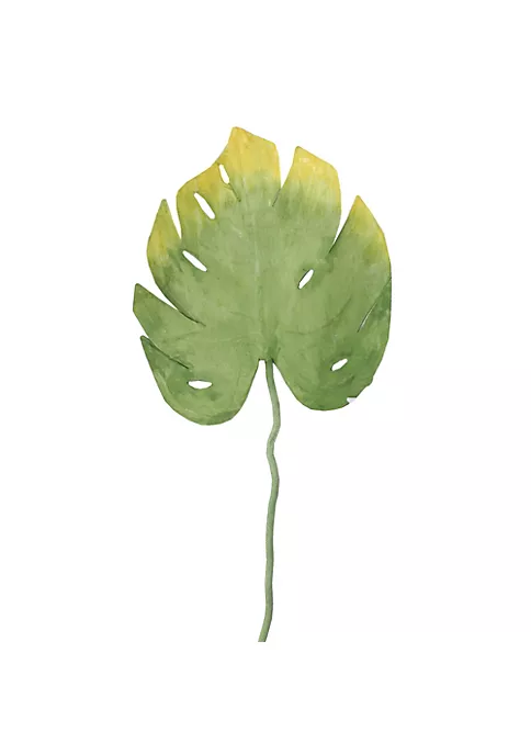 Best reviews of ๐ Northlight 31.5" Green Two-Tone Artificial Split-Leaf Tropical Philodendron Spray ๐ 6 Best reviews of ๐ Northlight 31.5" Green Two-Tone Artificial Split-Leaf Tropical Philodendron Spray ๐ - Image 4