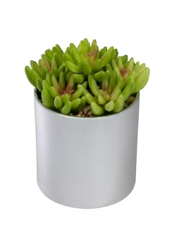 Top 10 ✨ Northlight 4.75" Potted Red and Green Artificial Sedum Succulent 💯 -Outlet Northlight Store Belk 1913