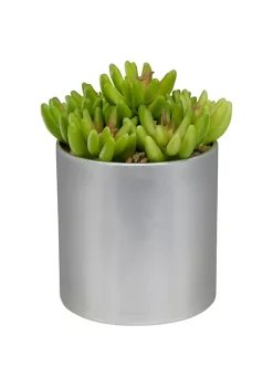 Top 10 ✨ Northlight 4.75" Potted Red and Green Artificial Sedum Succulent 💯 -Outlet Northlight Store Belk 1915