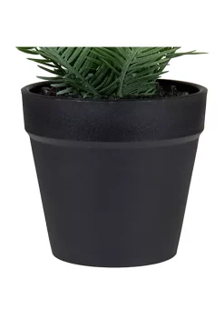 Top 10 โค๏ธ Northlight 7.5" Green Artificial Chinese Yew Plant in Black Pot ๐ฅ 10 Top 10 โค๏ธ Northlight 7.5" Green Artificial Chinese Yew Plant in Black Pot ๐ฅ -Outlet Northlight Store Belk 1930