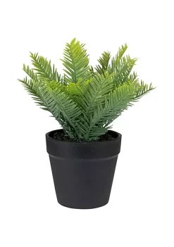 Top 10 โค๏ธ Northlight 7.5" Green Artificial Chinese Yew Plant in Black Pot ๐ฅ 11 Top 10 โค๏ธ Northlight 7.5" Green Artificial Chinese Yew Plant in Black Pot ๐ฅ -Outlet Northlight Store Belk 1931