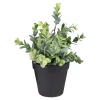 Wholesale 🛒 Northlight 10" Green Artificial Melia Azedarach Plant in Black Pot 😀