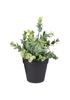 Wholesale 🛒 Northlight 10" Green Artificial Melia Azedarach Plant in Black Pot 😀