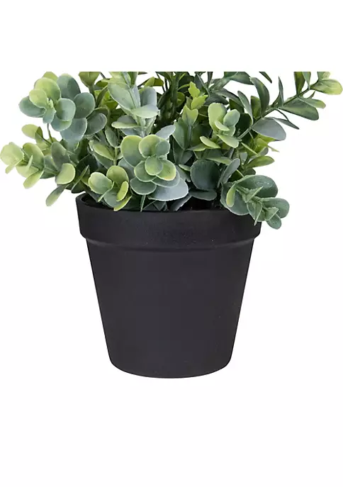 Wholesale ๐ Northlight 10" Green Artificial Melia Azedarach Plant in Black Pot ๐ 5 Wholesale ๐ Northlight 10" Green Artificial Melia Azedarach Plant in Black Pot ๐ - Image 3