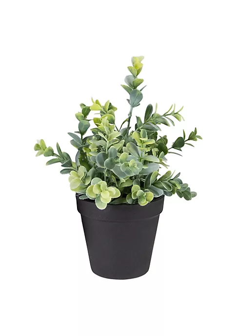 Wholesale ๐ Northlight 10" Green Artificial Melia Azedarach Plant in Black Pot ๐ 7 Wholesale ๐ Northlight 10" Green Artificial Melia Azedarach Plant in Black Pot ๐ - Image 5