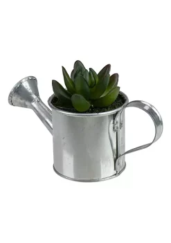Best deal 🥰 Northlight 6" Tropical Mini Artificial X Pachyveria Succulent in Watering Can 😀 -Outlet Northlight Store Belk 1980