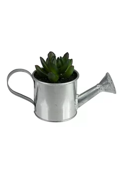 Best deal 🥰 Northlight 6" Tropical Mini Artificial X Pachyveria Succulent in Watering Can 😀 -Outlet Northlight Store Belk 1981