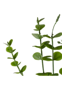 Cheapest 😉 Northlight 27" Green Artificial Eucalyptus Spray 🤩 -Outlet Northlight Store Belk 1983