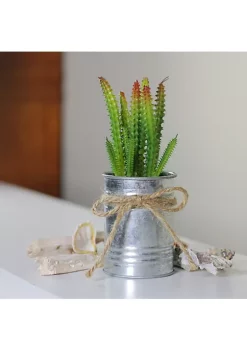 Best Pirce 🛒 Northlight 7" Green Mini Artificial Spiky Greenery in Tin Planter with Twine Bow 🛒 -Outlet Northlight Store Belk 1987