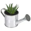 Outlet 🧨 Northlight 6" Artificial Mini Aloe Vera Succulent Plant with Watering Can 👍 -Outlet Northlight Store Belk 1988