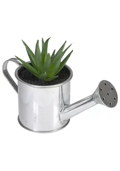Outlet 🧨 Northlight 6" Artificial Mini Aloe Vera Succulent Plant with Watering Can 👍