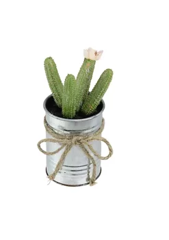 Coupon 🔥 Northlight 6" Green Artificial Mini Faux Columnar Cactus in Planter with Twine Bow 🎉 7 Coupon 🔥 Northlight 6" Green Artificial Mini Faux Columnar Cactus in Planter with Twine Bow 🎉 -Outlet Northlight Store Belk 1999