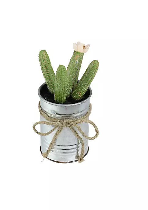 Coupon 🔥 Northlight 6" Green Artificial Mini Faux Columnar Cactus in Planter with Twine Bow 🎉 4 Coupon 🔥 Northlight 6" Green Artificial Mini Faux Columnar Cactus in Planter with Twine Bow 🎉 - Image 2