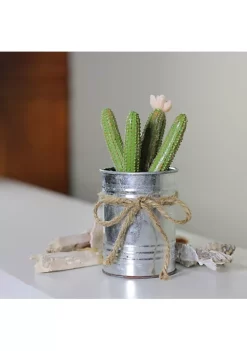 Coupon 🔥 Northlight 6" Green Artificial Mini Faux Columnar Cactus in Planter with Twine Bow 🎉 8 Coupon 🔥 Northlight 6" Green Artificial Mini Faux Columnar Cactus in Planter with Twine Bow 🎉 -Outlet Northlight Store Belk 2000