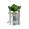 Best Sale 🎉 Northlight 5” Artificial Pachyveria Succulent in Tin Can Planter with Twine Bow 🔥 -Outlet Northlight Store Belk 2006