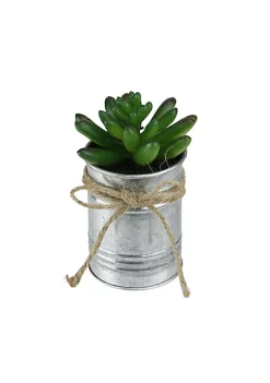 Best Sale 🎉 Northlight 5” Artificial Pachyveria Succulent in Tin Can Planter with Twine Bow 🔥 -Outlet Northlight Store Belk 2007