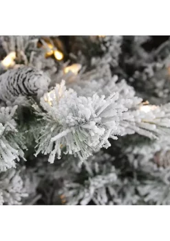 Coupon 🧨 Northlight 9' Pre-Lit Medium Flocked Victoria Pine Artificial 🎄 Christmas Tree - Dual Color LED Lights 🔔 -Outlet Northlight Store Belk 201