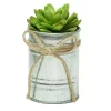 Top 10 👍 Northlight 7" Mini Artificial Sprouting Rose Succulent in Tin Can Planter with Twine Bow 🔥 -Outlet Northlight Store Belk 2010