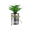 Coupon 🧨 Northlight 7" Green Tropical Artificial Foliage in Tin Planter 😍 -Outlet Northlight Store Belk 2017