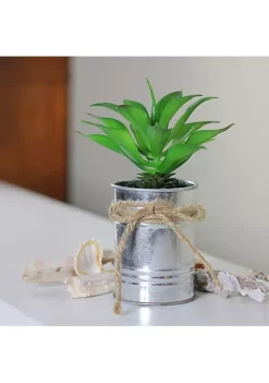 Coupon 🧨 Northlight 7" Green Tropical Artificial Foliage in Tin Planter 😍 -Outlet Northlight Store Belk 2019