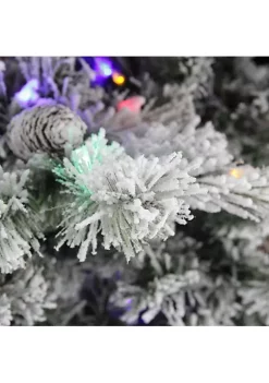 Coupon 🧨 Northlight 9' Pre-Lit Medium Flocked Victoria Pine Artificial 🎄 Christmas Tree - Dual Color LED Lights 🔔 -Outlet Northlight Store Belk 202