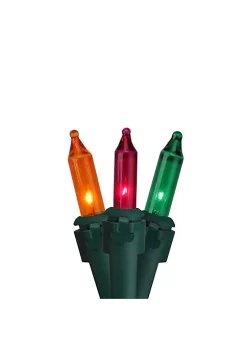 Hot Sale 🔔 Northlight 50-Count Multicolor Mardi Gras Mini Light Set 10ft Green Wire 🥰 -Outlet Northlight Store Belk 2036